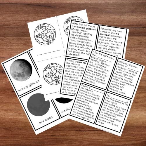 Phases of the Moon: Northern and Southern Hemispheres Learning Activities features printed worksheets with images and text showing all moon phases from both hemispheres, arranged neatly on a wooden surface. Montessori Nature Printables
