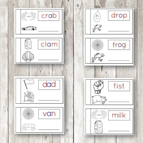 Phonetic Reading Activity Cards