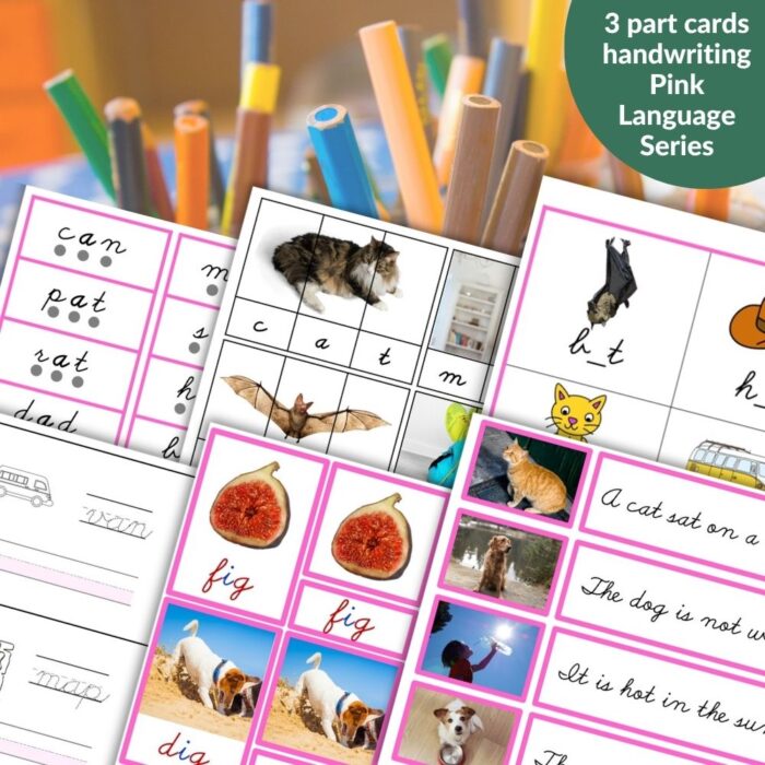 Phonics CVC Words: Pink Language Series includes educational cards with animal and object images, handwriting practice, fun phonics activities, and colored pencils in the background. Montessori Nature Printables