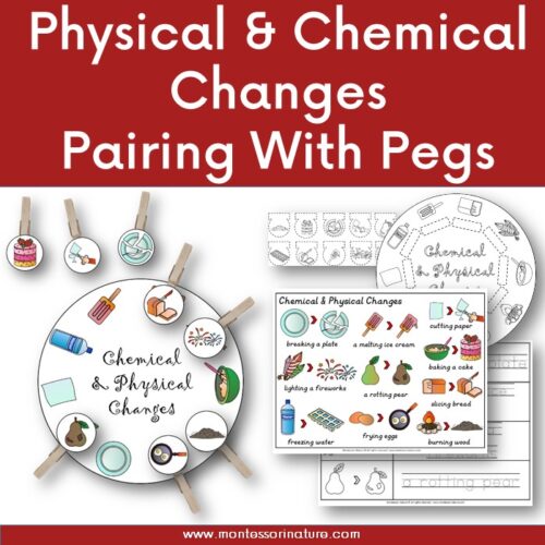 Physical and Chemical Changes Montessori Nature Pairing Free Printables Science Fine Motor