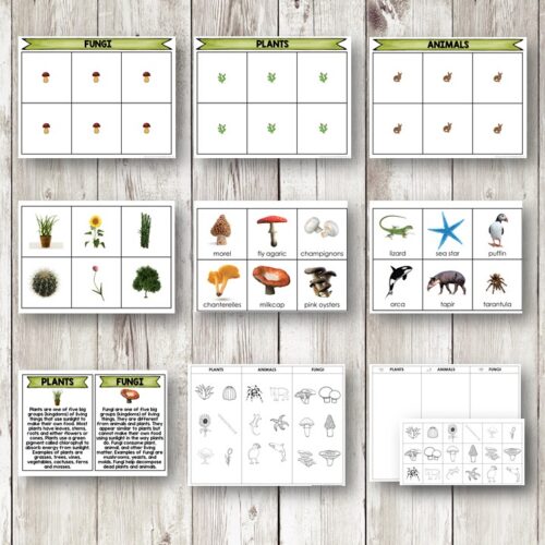 The Plants Animals Fungi Sort Picture Cards Student Book features three columns—Fungi, Plants, and Animals—with sorting cards that display colorful illustrations, real photos, and informational text on a wooden background. Montessori Nature Printables