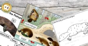 Learn all about the beaver with these informative and engaging worksheets. These free printable resources cover various aspects of the beaver's life cycle and characteristics. Great for students interested in the natural world!