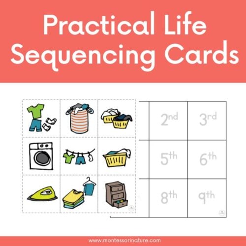 A set of illustrated laundry-related cards and a blank sequencing chart labeled with ordinal numbers from 2nd to 9th to help teach children sequencing skills; available as a free printable. Montessori Nature Printables
