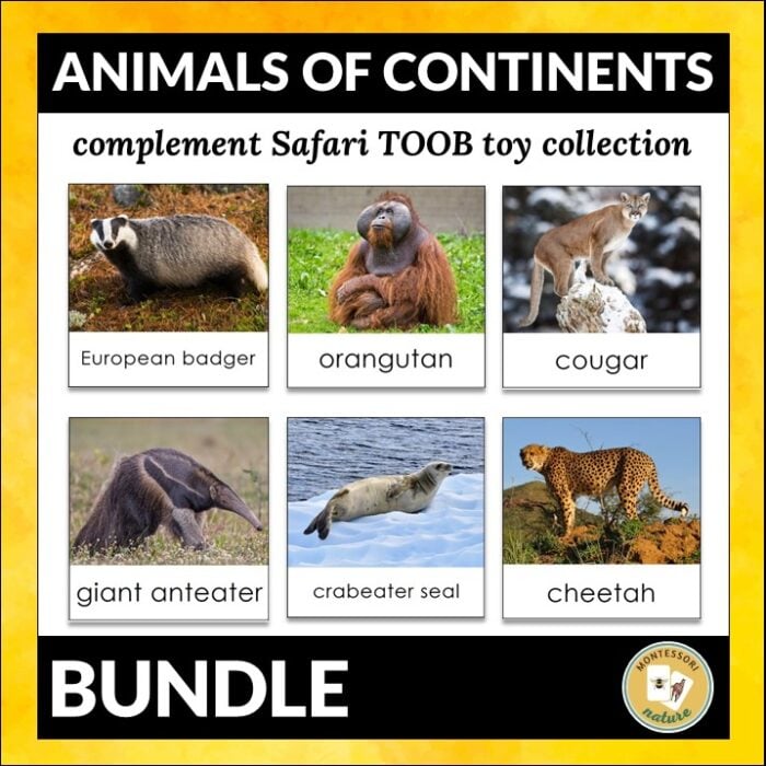 Grid of six animal photos labeled European badger, orangutan, cougar, giant anteater, crabeater seal, and cheetah from the Animals of the Continents Safari Toob 3-Part Cards Bundle Editable. Montessori Nature Printables