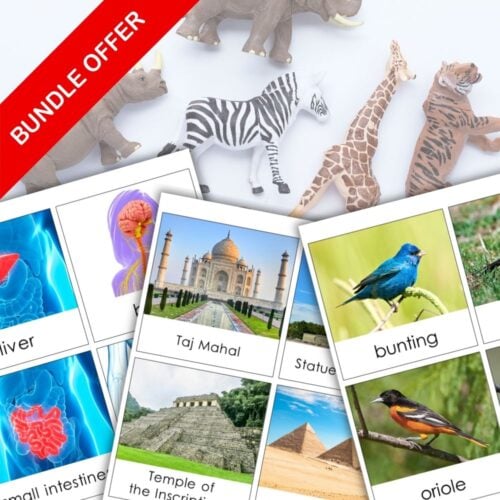 Safari TOOB Compatible 3 Part Cards & Facts Bundle displays animal, organ, landmark, and bird flashcards alongside Safari TOOB figures with a red "BUNDLE OFFER" banner—ideal for learning with our 3-part cards set. Montessori Nature Printables