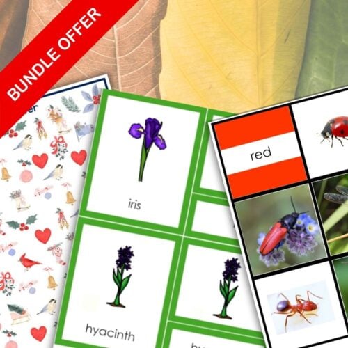 Seasonal Activities Year Round Kindergarten Bundle