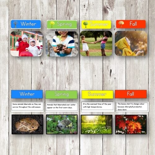 The Four Seasons Picture Cards Facts Sort includes a chart with descriptive text and picture cards illustrating winter, spring, summer, and fall. Montessori Nature Printables