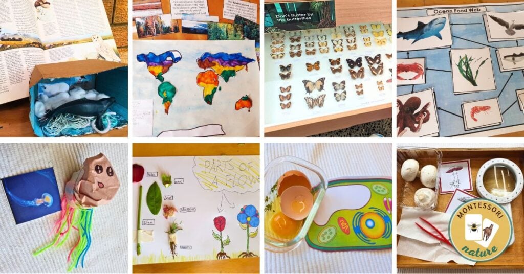 Second Great Lesson Montessori Nature Printables Hands On Learning Activities Free Printable Homeschool Science Evolution Coming of Life Elementary