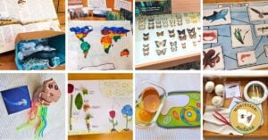 Second Great Lesson Montessori Nature Printables Hands On Learning Activities Free Printable Homeschool Science Evolution Coming of Life Elementary
