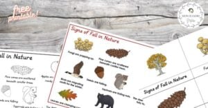 A set of nature worksheets with pictures of animals and plants.