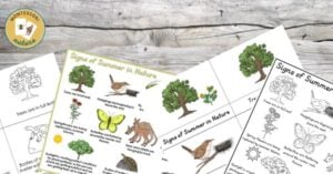A set of worksheets showing different types of plants and animals.