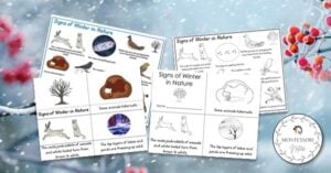 A set of cards with pictures of animals in the snow.