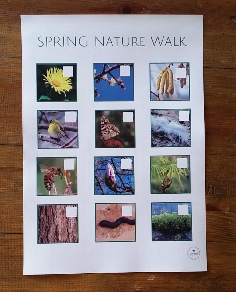 Montessori Nature - Educational Printables