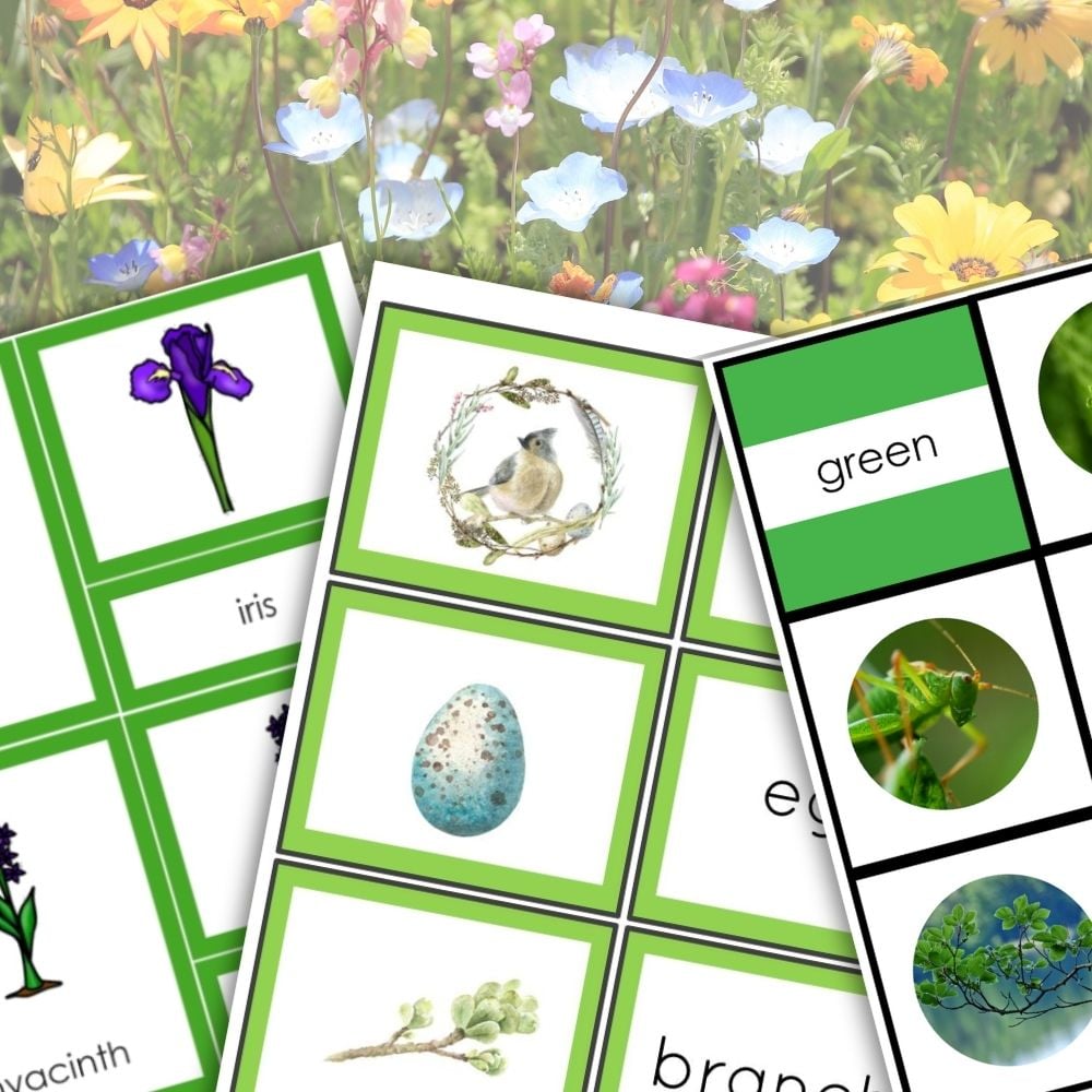 Three educational flashcards featuring a flower, bird, and egg are set against a wildflower background—ideal for the Spring Activities Kindergarten Pack or enhancing your spring-themed lessons. Montessori Nature Printables