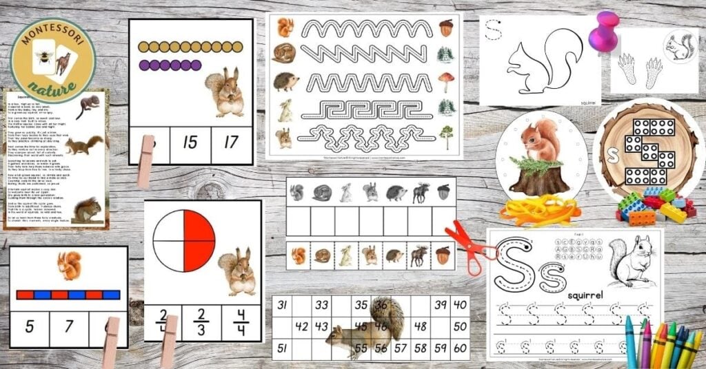A set of activities for preschoolers with animals and numbers.