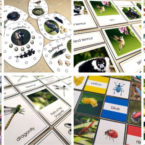 blog-montessori-nature-printables