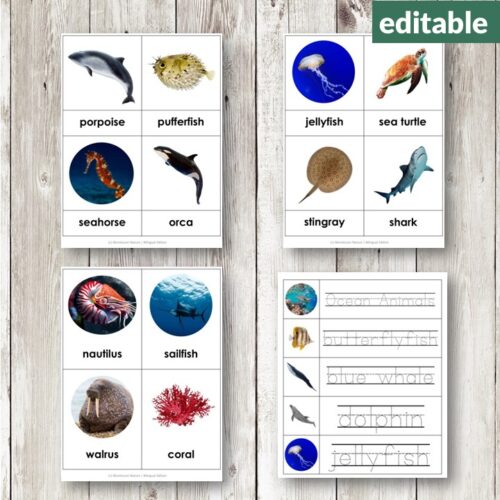 The Ocean Animals Vocabulary 3 Part Cards set includes editable cards with images and names of marine animals—like dolphin, pufferfish, jellyfish, orca, and shark—ideal for teaching and building ocean-themed vocabulary. Montessori Nature Printables