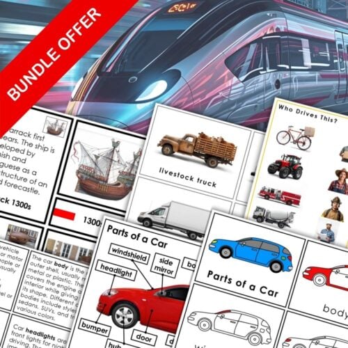 Transportation Bundle