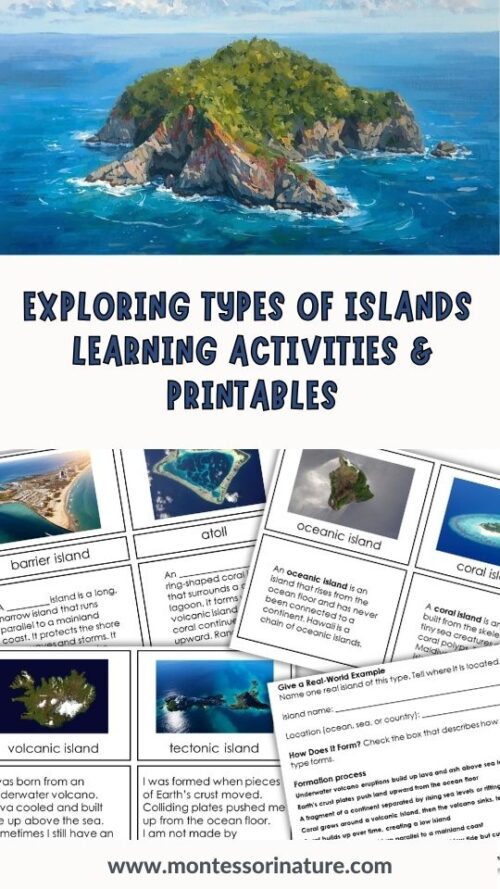 Exploring Types of Islands – Hands on Science Activities and Printables ...