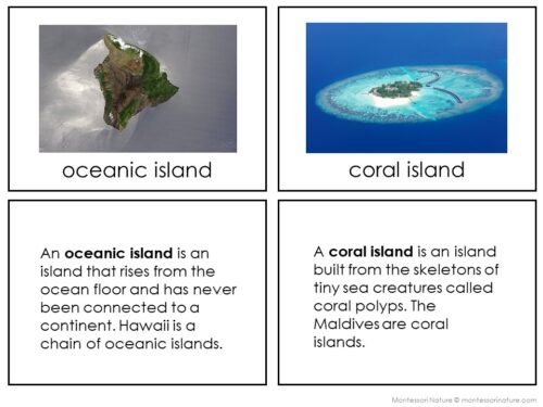 Types of Islands - Image 4