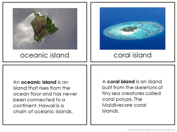 Types of Islands - Image 4