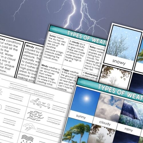 Types of Weather: 3-Part Cards Descriptions Worksheets