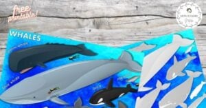 Whales and dolphins on a wooden background.