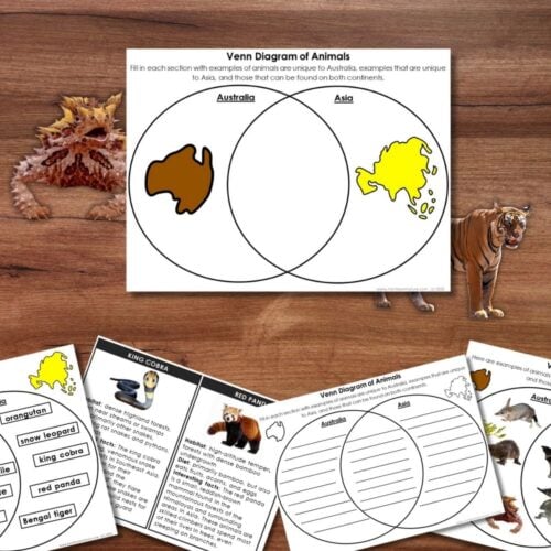 Animals of Australia and Asia Venn Diagram