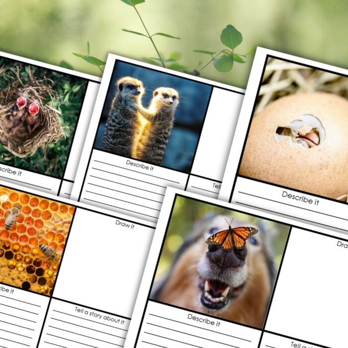 Charcoal Drawing Process Art for Preschool: Process Art - Montessori Nature
