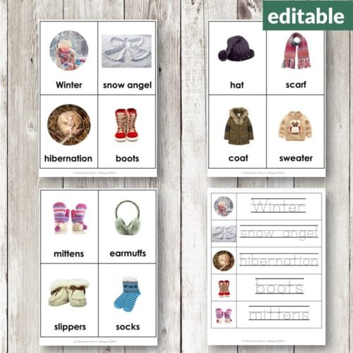 Winter Vocabulary 3 Part Cards help build winter vocabulary with images and labels for items like hat, scarf, sled, skis, sweater, snowman, earmuffs, and snowflake—ideal for winter-themed learning activities. Montessori Nature Printables