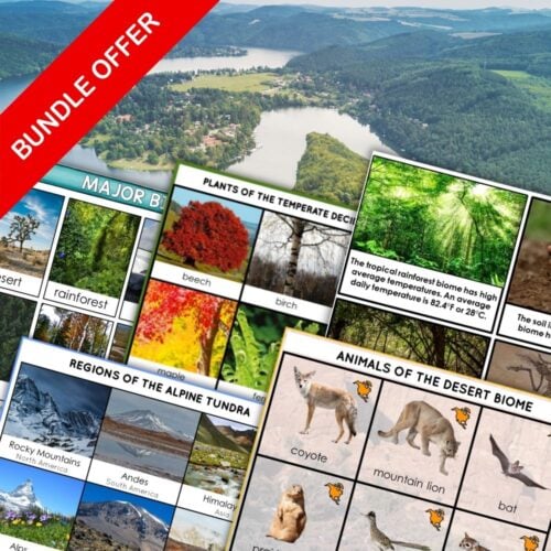 Discover the Biomes of the World Bundle: nature learning cards and a vivid aerial view of lake and forest, all highlighted by a bold red "Bundle Offer" banner—explore our exciting world!. Montessori Nature Printables