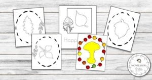 Four leaf tracing cards on a wooden background.