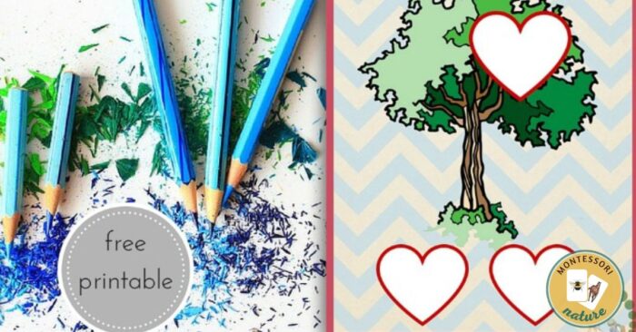 Free Printable - Seasons Picture Cards for Preschool Children ...
