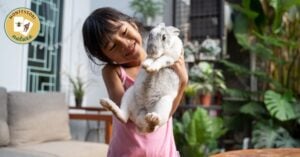 girl holding a rabbit
