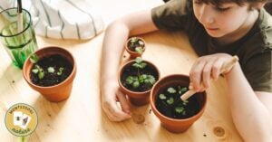 learning about plants montessori nature