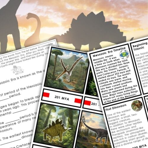 Mesozoic Era Timeline Second Great Lesson 3-Part Cards Vocabulary includes educational worksheets and cards with dinosaur illustrations, vocabulary activities, silhouettes, and facts about the Mesozoic Era and prehistoric timelines. Montessori Nature Printables