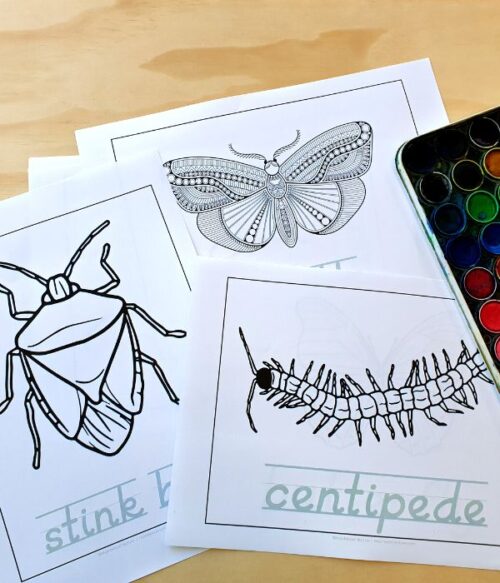 20+ DIY Montessori Inspired Activities for 2 and 3-year-olds ...
