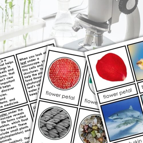 Nature Under the Microscope: 3 Part Cards features educational cards with images and descriptions of flower petals, scales, and more—ideal for exploring nature’s details under a microscope. Test tubes and microscopes create an inspiring background. Montessori Nature Printables