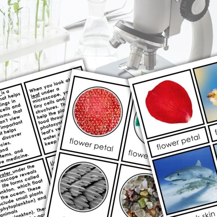 Nature Under the Microscope: 3 Part Cards features educational cards with images and descriptions of flower petals, scales, and more—ideal for exploring nature’s details under a microscope. Test tubes and microscopes create an inspiring background. Montessori Nature Printables