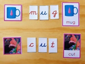 moveable alphabet 3 part cards cvc words