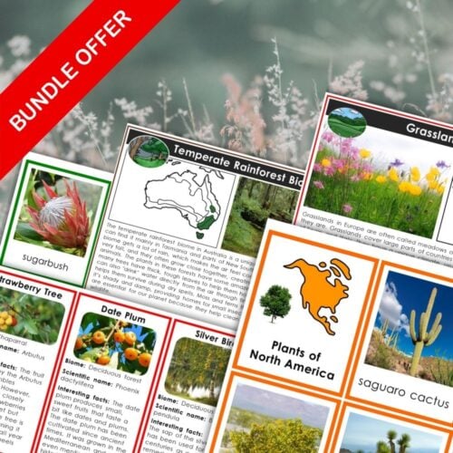 The "Plants and Biomes of the Continents Bundle" showcases educational cards with images and descriptions, each featuring a red "BUNDLE OFFER" banner in the top left corner. Montessori Nature Printables