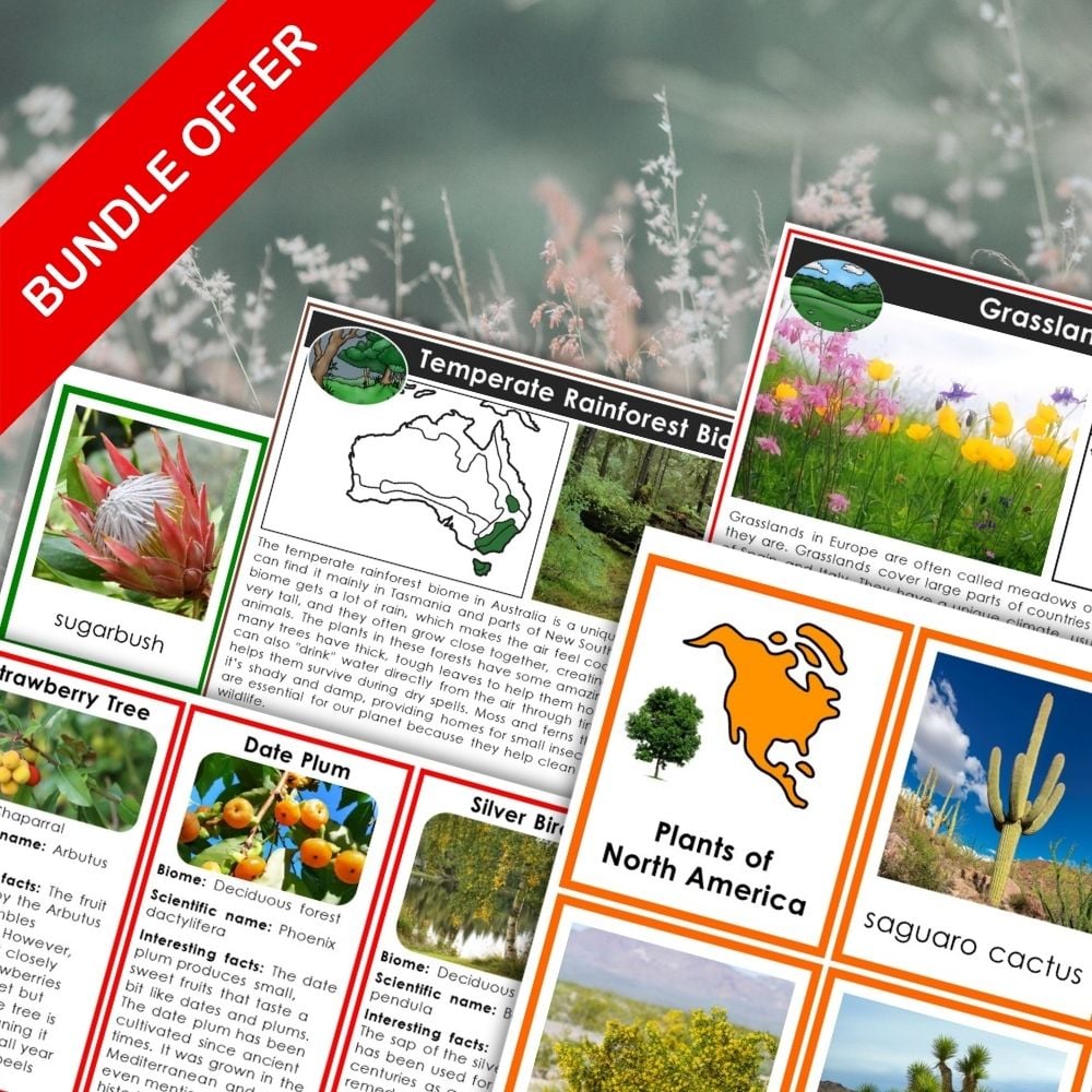 The "Plants and Biomes of the Continents Bundle" showcases educational cards with images and descriptions, each featuring a red "BUNDLE OFFER" banner in the top left corner. Montessori Nature Printables