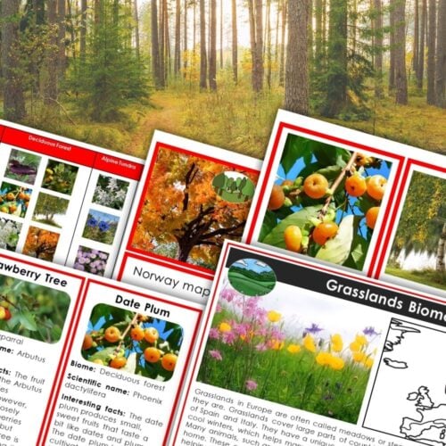 The "Plants and Biomes of Europe" educational cards, showcasing images and information on trees, fruits, and European biomes, are displayed against a forest backdrop. Montessori Nature Printables