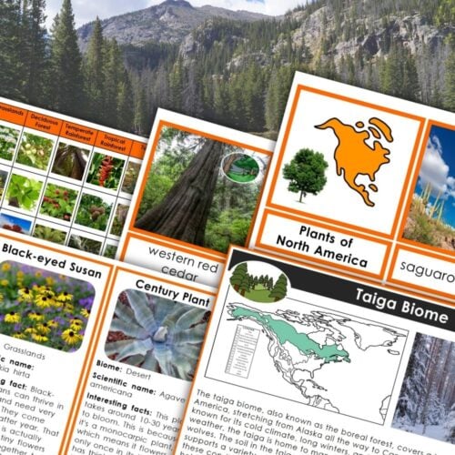 Plants and Biomes of North America Activities: Explore trees, maps, plant facts, engaging activities, and vivid descriptions—all in an educational collage with a forested mountain backdrop. Montessori Nature Printables