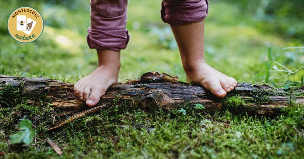 A child's feet are standing on a log in the woods, engaging in one of the 15 Hands-On Summer Activities Children Can Do in Nature.