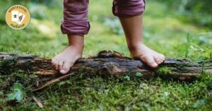 A child's feet are standing on a log in the woods, engaging in one of the 15 Hands-On Summer Activities Children Can Do in Nature.