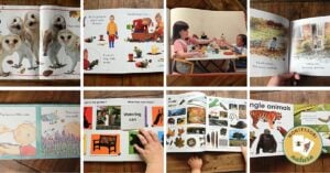 A vibrant collage of children's books adorning a cozy classroom book corner, perfect for fostering a love of reading among babies and toddlers in a Montessori setting.