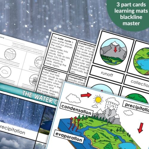 Water Cycle: 3 Part Cards Blackline Master Diagrams features labeled cards and diagrams for terms like condensation, precipitation, evaporation, runoff, and collection—ideal for visual learning and classroom activities. Montessori Nature Printables